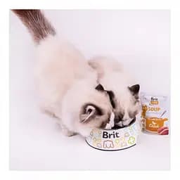 Вологий корм для котів Brit Care Soup з качкою 75 г - мініатюра 6