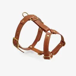 Шкіряна анатомічна шлея для собак "Classy" XS руда (обхват грудини 28-36 см) - мініатюра 3