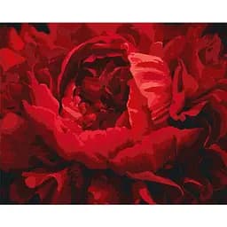 Картина по номерам Ideyka Изысканный цветок KHO3121 40х50 см