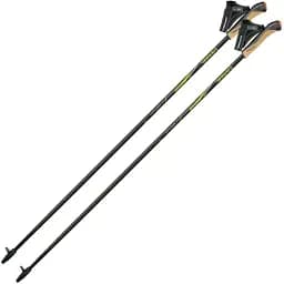 Палиці для скандинавської ходьби Gabel FX-75 Snake Carbon 105 Dual Spike