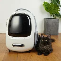 Рюкзак-переноска Petkit Breezy 2 Smart Cat Carrier White P7704 (P7704 White) - мініатюра 4