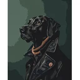 Картина за номерами Brushme Джентльмен в плащі BS53932 40x50 см