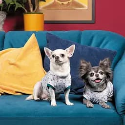 Футболка Pet Fashion Flora для собак бавовна білий трикотаж з квітковим принтом S - мініатюра 4