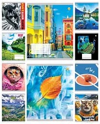 Тетради ученические 48 листов линия Люкс Микс 1, 10 шт. в упаковке