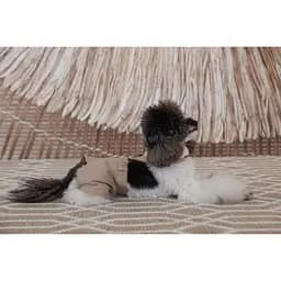 Шорти Pet Fashion Leo для собак XS - мініатюра 9