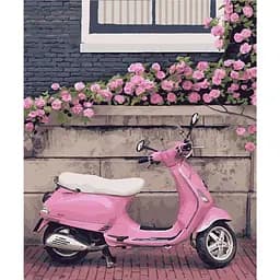 Картина по номерам Город Роз. Нормандия 40х50 см 10530-AC