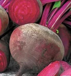 Семена Весна на развес Свекла Наполеон цена за 10 г (183846)