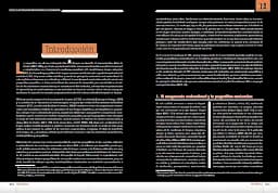 Pragmática: Estrategias para comunicar - мініатюра 4
