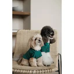 Сорочка Pet Fashion Seaman для собак XХS - мініатюра 6