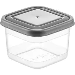 Контейнер для зберігання продуктів Freshlife квадратний 0.6 л (D-411)