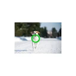 Іграшка для собак Collar PitchDog Кільце для апортування 17 см салатове (62365) - мініатюра 4