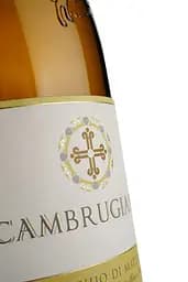 Вино Belisario Verdicchio di Matelica DOCG Riserva Cambrugiano, біле, сухе, 0,75 л - мініатюра 3