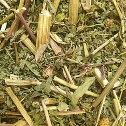 100 г череда трава сушеная - свежий урожай