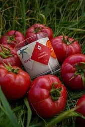 Свічка Листя томатів 250 мл 30 год Стандартні Соєвий віск - мініатюра 2
