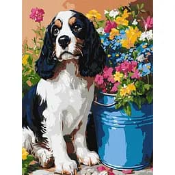 Картина по номерам "Милий спанієль" Ideyka KHO6672 30 x 40
