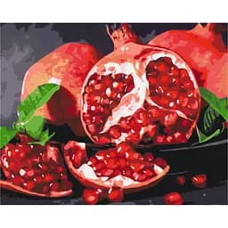 Картина по номерам "Вкусный гранат" Brushme BS32215, 40х50 см