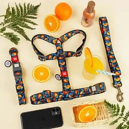 Повідець для собак Waudog Nylon нейлоновий, малюнок "Апельсини", S - мініатюра 3