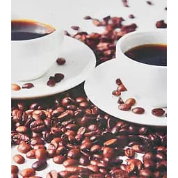 Набір для творчості алмазна картина Ароматна розмова Strateg SK88234, 40x50 см