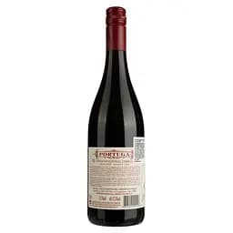 Вино Casa Santos Lima Portuga, червоне, напівсухе, 12,5%, 0,75 л (43131) - мініатюра 2