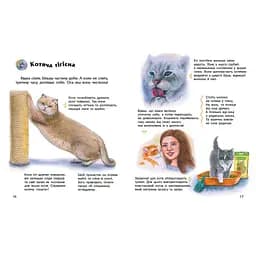 Книга Енциклопедія дошкільника. Коти - Юлія Каспарова Ранок (9786170992741) - мініатюра 3