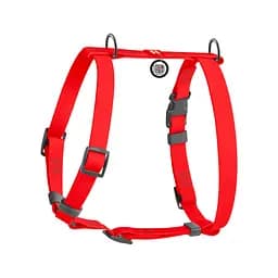 Шлея для собак водостійка анатомічна Н-подібна Waudog Waterproof з QR-паспортом пластикова пряжка-фастекс S Ш 15 мм А 28-42