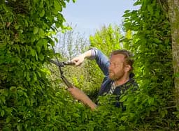Ножиці Gardena NatureCut для живоплоту (12300-20.000.00) - мініатюра 8
