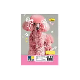 Блокнот А6 Апельсин АП-1710-9, 40 листов, пружина сбоку