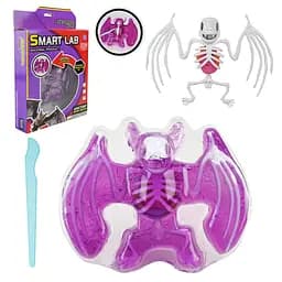 Игровой лабораторный набор Летучая мышь, 802B, скелет, внутренние органы, инструмент