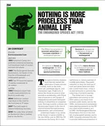 Big Ideas. The Law Book - мініатюра 13