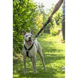 Шлея GimDog Harlem H для собак, нейлон, чорна, 2,5х67-90 см - мініатюра 2