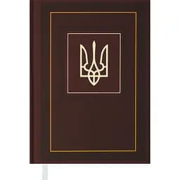 Щоденник датований Buromax Nation 2024 A5 коричневий (BM.2199-25)