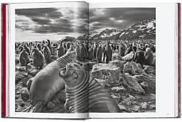 Sebastiao Salgado. Genesis. 45th Edition - мініатюра 4