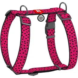 Шлейка для собак Waudog Nylon анатомическая H-образная с QR-паспортом, рисунок "Арбуз", пластиковый фастекс, XL