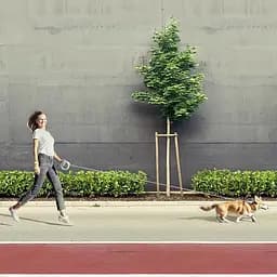Повідець-рулетка для собак Waudog R-leash, кругла, XS-M, до 40 кг, 2,9 м, світловідбиваюча стрічка салатовий - мініатюра 7
