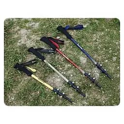 Трекінгова палиця телескопічна Naturehike (CNK2300DS010) 135 см, блакитна - мініатюра 6