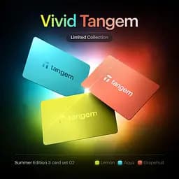 КриптогаманецьTangem Wallet 2.0 набір з 3 карт Vivid (TG128X3-V) - мініатюра 5
