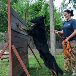 Повідець для собак Barksi Active тренувальний (довжина 5.15 м діаметр 0.7 см) помаранчевий - мініатюра 10