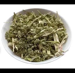 Амі зубна Насіння Ammi visnaga