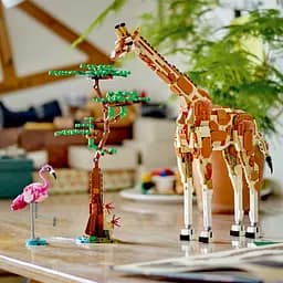 Конструктор LEGO Creator Дикі тварини сафарі 780 деталі (31150) - мініатюра 4