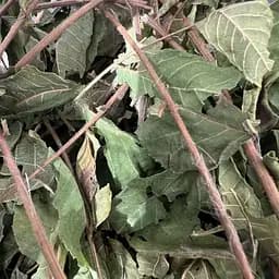 100 г черный орех листья сушеные