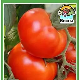 Насіння Весна Томат Король ранніх Новий пакет 0.1 г (22930)