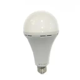 LED лампочка с аккумулятором RA-800MA-12W-1