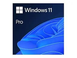 Операційна система Microsoft Windows 11 Pro 64Bit Eng Intl 1pk DSP OEI DVD (FQC-10528)