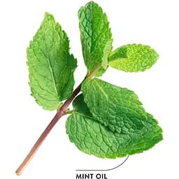 Ополіскувач для ротової порожнини Ecodenta Expert Line Extraordinary, з чорним вугіллям, 500 мл - мініатюра 4