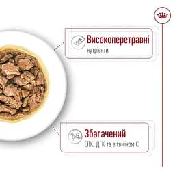 Набір вологий корм для дорослих собак мініатюрних розмірів Royal Canin X-Small Adult шматочки в соусі 1.02 кг (12 шт.  х 85 г) - мініатюра 6