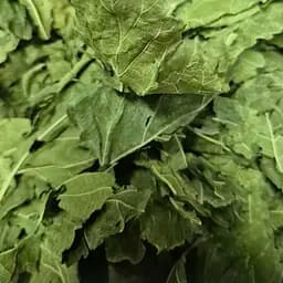 100 г шелковица белая лист сушеный - свежий урожай