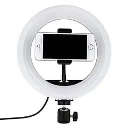 LED лампа RGB MJ20 чорний 20 см