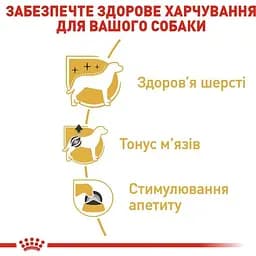 Вологий корм для собак породи пудель Royal Canin Poodle Loaf паштет 85 г - мініатюра 3