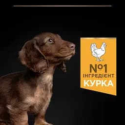 Сухий корм Purina Pro Plan Small & Mini Puppy <1 Healthy Start для цуценят дрібних порід з куркою 3 кг (12272132) - мініатюра 6