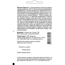 Насіння квітів Садиба Центр Петунія Вельвет Парпл F1, 10 гранул (000003542) - мініатюра 2
